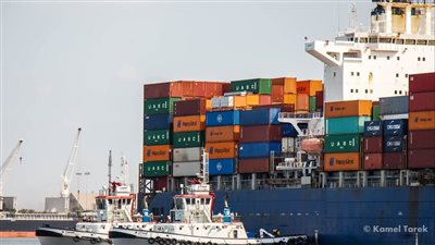 تداول 33 سفينة بميناء دمياط خلال 24 ساعة