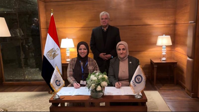 التعليم العالي والبحث