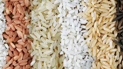 بكام سعر الأرز الأبيض اليوم الإثنين 09-12-2024 في الأسواق؟