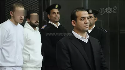 كواليس جلسة محاكمة المتهمين بقتل نجل سفير مصر السابق.. دفاع المتهم يطالب بوضعه بمستشفى الأمراض النفسية.. الطب الشرعي: مر يوم على جريمة القتل واكتشاف الجثة (فيديو وصور)