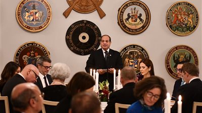 الرئيس السيسي يدعو قادة الدنمارك لزيارة مصر