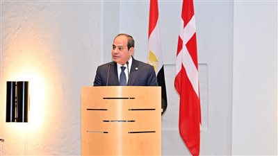  خلال مؤتمر صحفي، السيسي ورئيسة وزراء الدنمارك يستعرضان نتائج المباحثات الثنائية