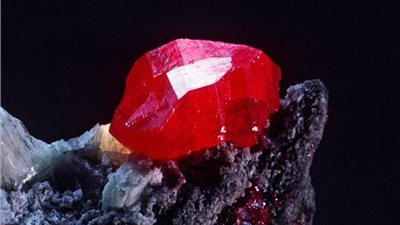 زاهي حواس: الزئبق الأحمر خرافة ولا وجود له في المومياوات