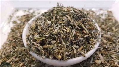 أهم فوائد الشيح للجسم 