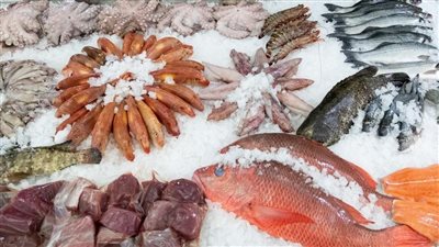 أسعار السمك اليوم، الجمبري يرتفع 70 جنيهًا في سوق العبور