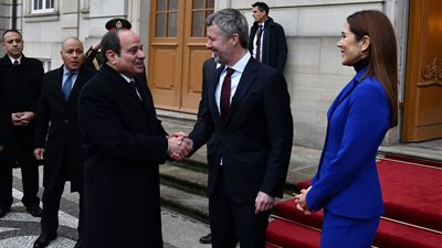  نشاط الرئيس السيسي في الدنمارك (فيديو وصور)