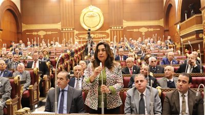 وزيرة التنمية المحلية تتعهد بتسهيل إجراءات تقنين وضع اليد 