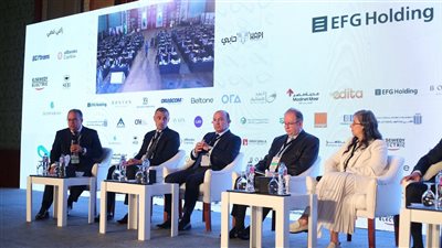 الرئيس التنفيذى لـ إي إف جي: المستثمر المباشر يواجه عقبات بسبب سعر الفائدة 