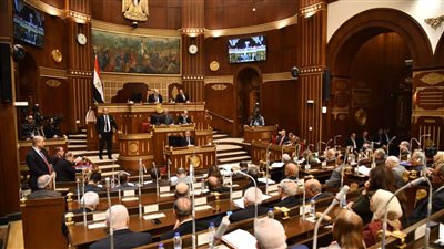 مجلس الشيوخ يوافق نهائيا على مشروع قانون المسئولية الطبية
