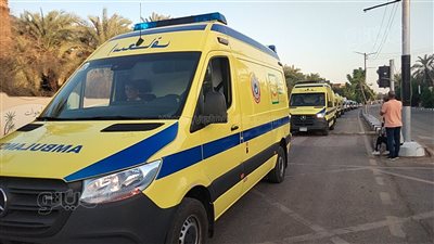 بالأسماء، إصابة 22 شخصا في انقلاب سيارة نقل بالوادي الجديد