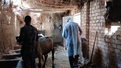 محافظ الإسماعيلية يتابع نشاط الطب البيطري خلال نوفمبر (صور) 