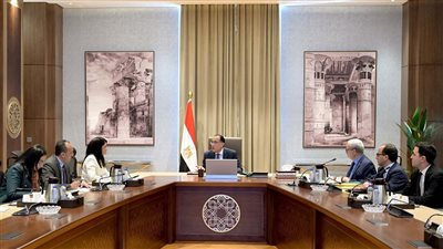 الحكومة تدرس تصفية هيئة اقتصادية ودمج 3 وتحويل 7 إلى هيئات عامة 