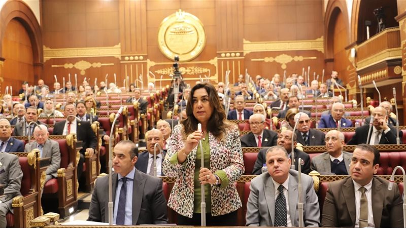 منال عوض وزيرة التنمية