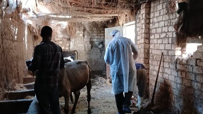 جانب من الحملات،