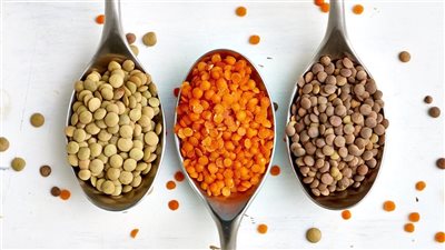 فوائد العدس، أفضل أكلة للنباتيين ولمرضى فقر الدم