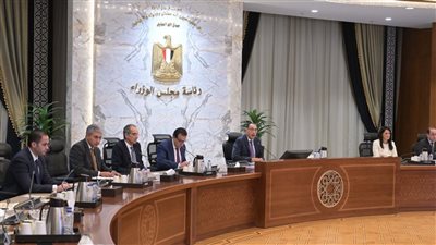 تأشيرات خاصة ومنصة إلكترونية حديثة، مدبولي يعلن تشكيل مجلس وطني للسياحة العلاجية 