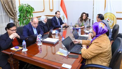 وزيرة التنمية المحلية تبحث مع برنامج الأمم المتحدة الإنمائي التعاون المشترك