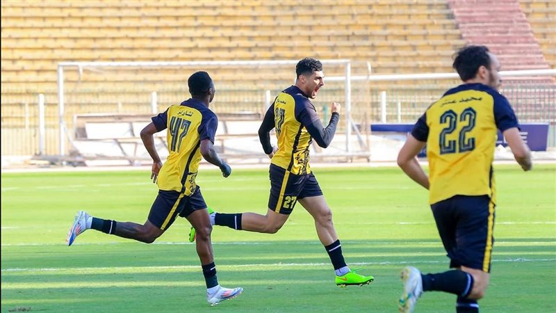 دوري المحترفين 