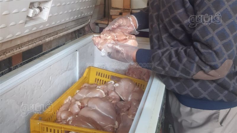 ضبط 553 كجم من أسماك