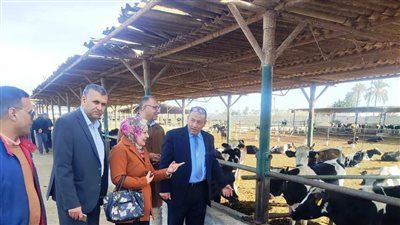 وكيل زراعة البحيرة يتفقد مشروع 