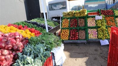 حصاد 2024 لتموين البحيرة، تنفيذ 3387 حملة وتحرير 29 ألفا و240 محضرا