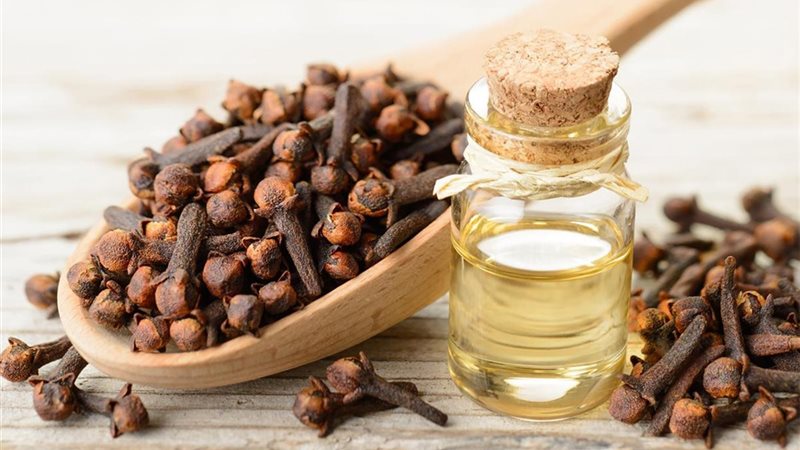 فوائد القرنفل، فيتو