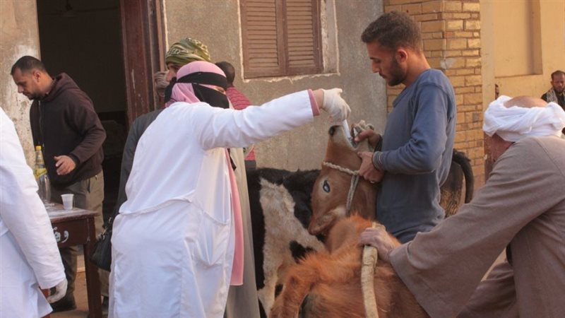 قافلة بيطرية لجامعة