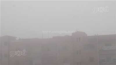 شبورة مائية على طرق الإسماعيلية الزراعية (فيديو وصور) 