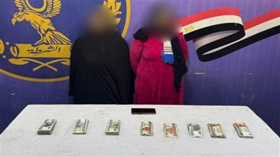 سقوط 8 لصوص لارتكاب جرائم سرقات فى القاهرة 