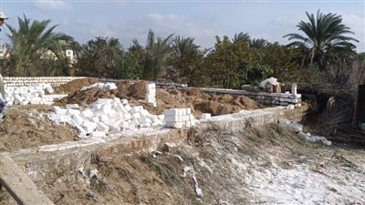 إزالة 69 حالة تعدي على أراضى زراعية وأملاك الدولة في البحيرة (صور)