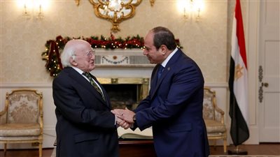 تعزيز التعاون في قطاعات الصناعة والاتصالات والزراعة والبيئة،نتائج المباحثات المصرية الأيرلندية