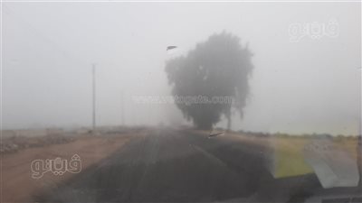 الوطنية للطوارئ في الإسماعيلية تحذر المواطنين من الشبورة المائية غدًا