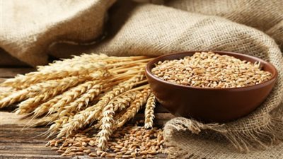  أسعار الشوفان مساء اليوم الأربعاء 19 فبراير 2025 في الأسواق