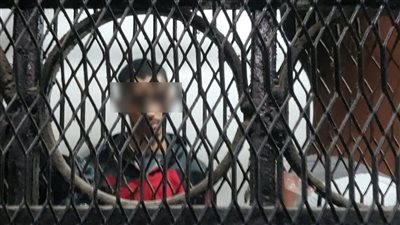 القاضي لـ«المتهم بابتزاز ابنة شيرين عبد الوهاب»: اتقوا الله في النساء (فيديو) 