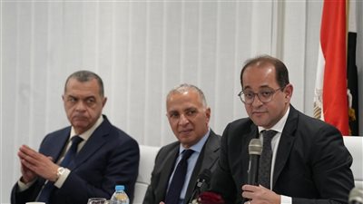 وزير المالية: سندعم شركاءنا من القطاع الخاص لتحفيزهم على التوسع في الإنتاج 