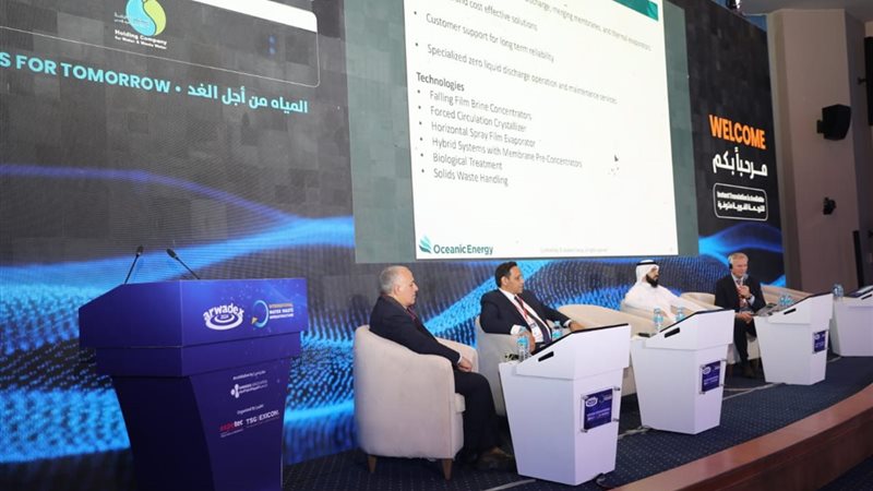 ممدوح رسلان، فيتو