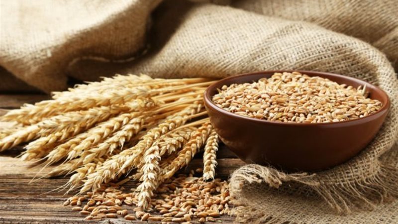 أسعار الشوفان اليوم،
