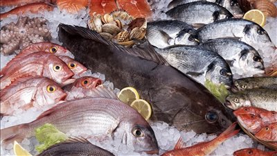 البلطي يسجل 76 جنيها، أسعار السمك اليوم في سوق العبور