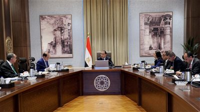 19717 طلبًا لتوفيق الأوضاع وتحصيل 2.4 مليار جنيه، رئيس الوزراء يُتابع حوكمة استيراد سيارات ذوي الهمم