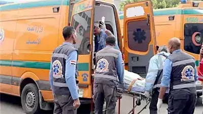 إصابة 10 أشخاص في انقلاب سيارة بالمنيا 