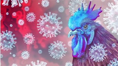 الصحة العالمية تتأهب وبريطانيا تستعد باللقاحات، تحذير أمريكي من جائحة جديدة