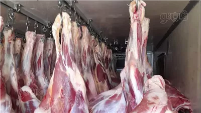  انخفاض أسعار اللحوم اليوم في الأسواق
