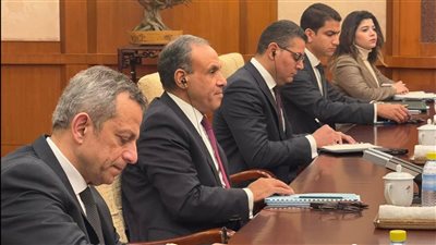 وزير الخارجية يترأس الجانب المصري في الجولة الرابعة للحوار الاستراتيجي بين القاهرة وبكين 