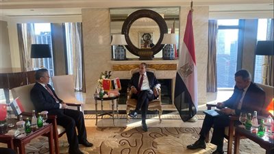 وزير الخارجية يلتقي الرئيس التنفيذي لـ