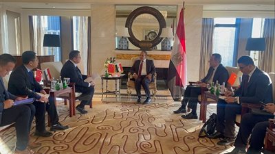 تفاصيل لقاء وزير الخارجية ونائب رئيس شركة جريت وول الصينية لصناعة السيارات