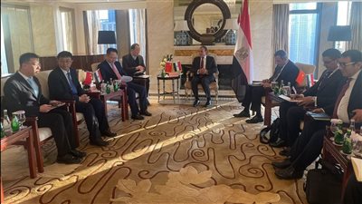 وزير الخارجية يلتقي مُطور المنطقة الاقتصادية المصرية الصينية المشتركة