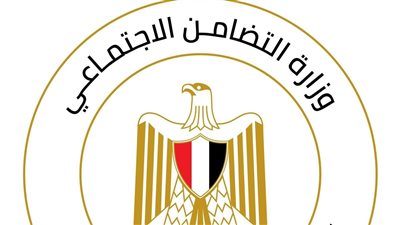 بالنسبة للأم لأسرة بديلة.. شروط ومعايير اختيار الأم المثالية لعام 2025 (إنفوجراف)