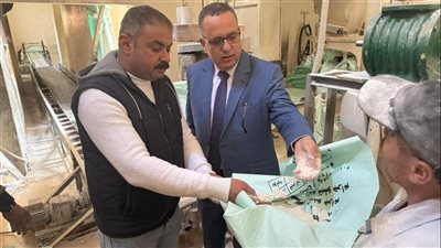 ضبط لحوم ودقيق وأغذية متنوعة وتحرير 245 مخالفة بالدقهلية