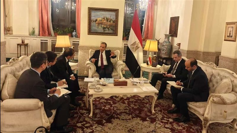 بدر عبد العاطى وزير