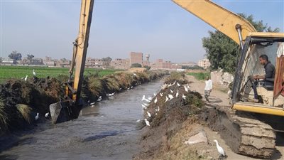 تنفيذ أعمال تطهير للترع وإزالة المخلفات بأسيوط